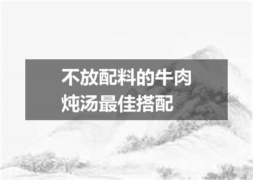 不放配料的牛肉炖汤最佳搭配