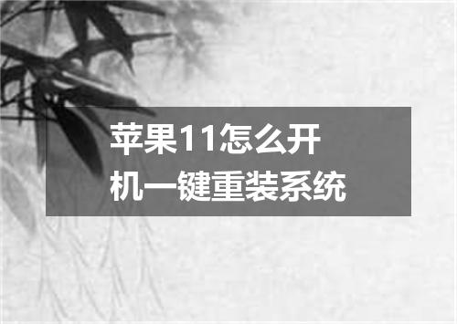 苹果11怎么开机一键重装系统