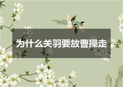 为什么关羽要放曹操走