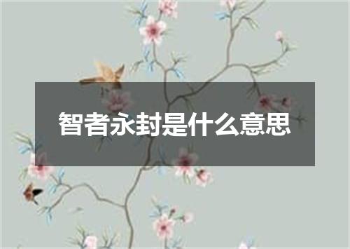 智者永封是什么意思