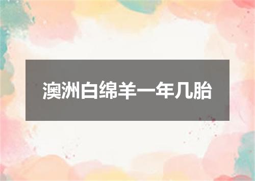 澳洲白绵羊一年几胎