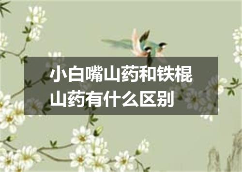 小白嘴山药和铁棍山药有什么区别