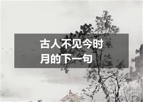 古人不见今时月的下一句