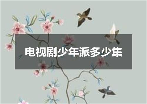 电视剧少年派多少集