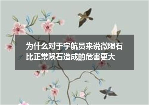 为什么对于宇航员来说微陨石比正常陨石造成的危害更大