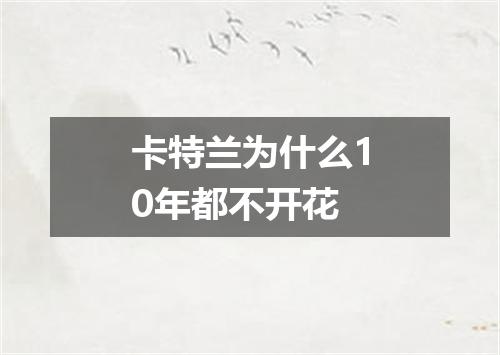 卡特兰为什么10年都不开花