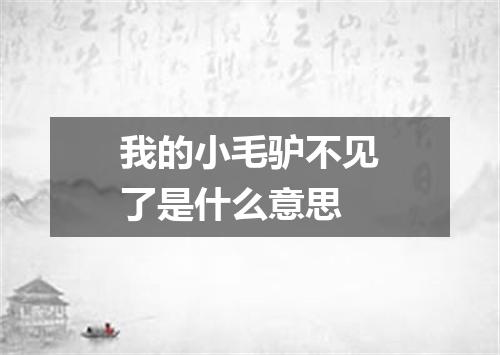 我的小毛驴不见了是什么意思