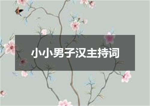 小小男子汉主持词
