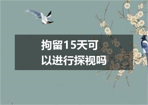 拘留15天可以进行探视吗