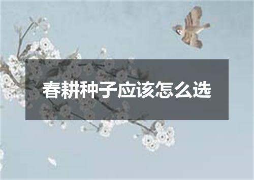 春耕种子应该怎么选