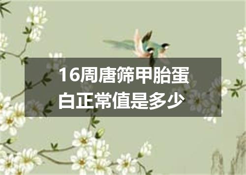 16周唐筛甲胎蛋白正常值是多少