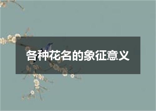 各种花名的象征意义