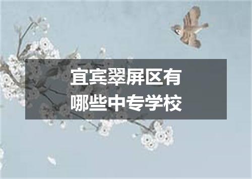 宜宾翠屏区有哪些中专学校