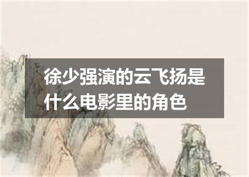 徐少强演的云飞扬是什么电影里的角色