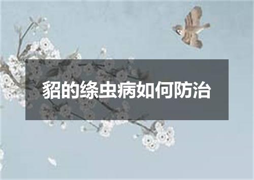 貂的绦虫病如何防治