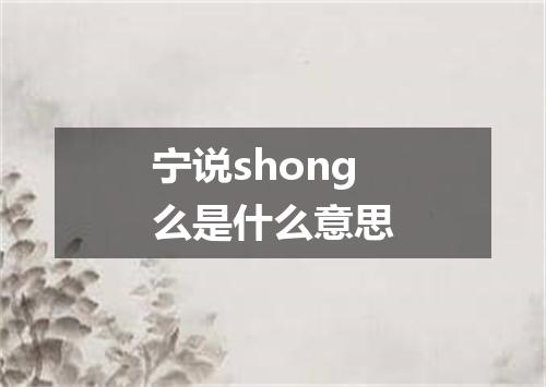 宁说shong么是什么意思