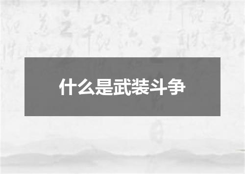什么是武装斗争
