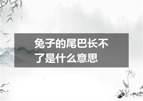 兔子的尾巴长不了是什么意思