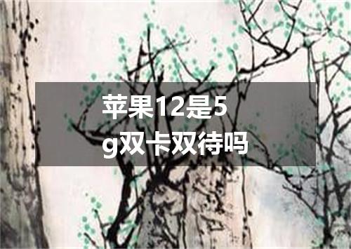 苹果12是5g双卡双待吗