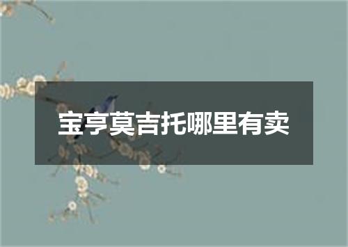 宝亨莫吉托哪里有卖