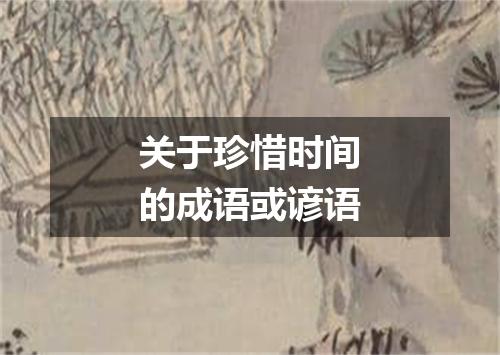 关于珍惜时间的成语或谚语