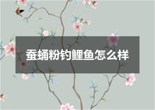 蚕蛹粉钓鲤鱼怎么样