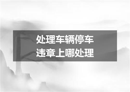 处理车辆停车违章上哪处理