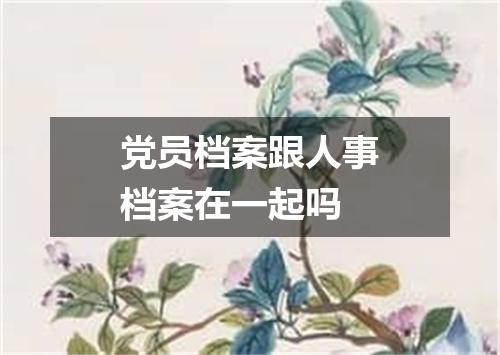 党员档案跟人事档案在一起吗