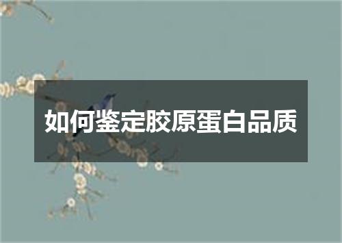 如何鉴定胶原蛋白品质
