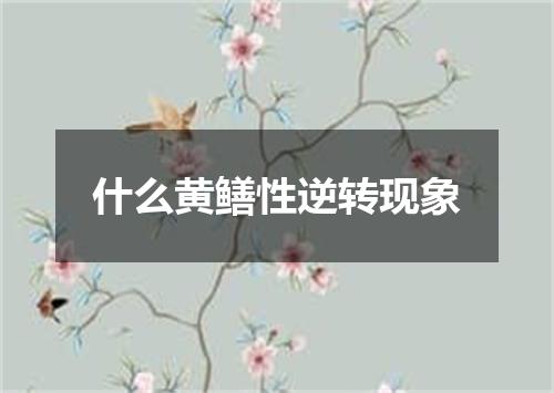 什么黄鳝性逆转现象