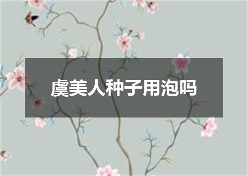 虞美人种子用泡吗