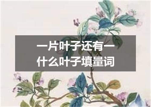 一片叶子还有一什么叶子填量词