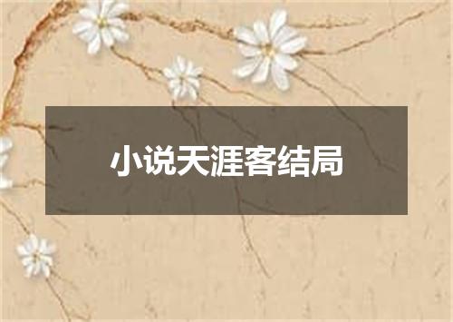小说天涯客结局
