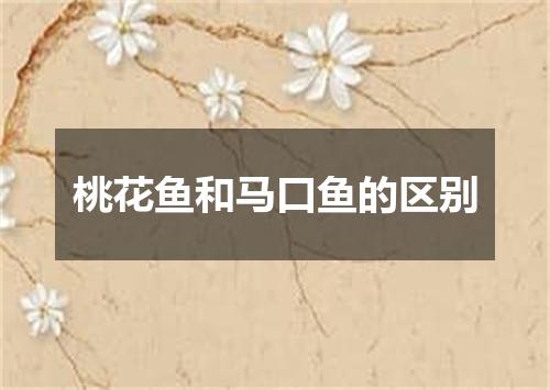 桃花鱼和马口鱼的区别