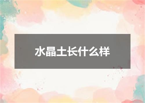 水晶土长什么样