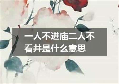 一人不进庙二人不看井是什么意思