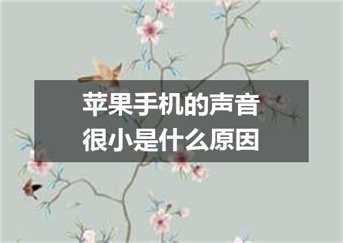 苹果手机的声音很小是什么原因