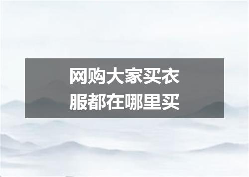 网购大家买衣服都在哪里买