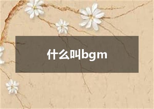 什么叫bgm