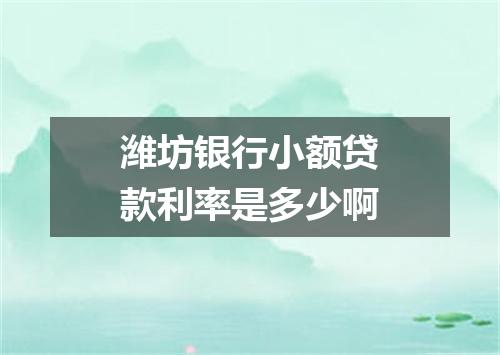 潍坊银行小额贷款利率是多少啊