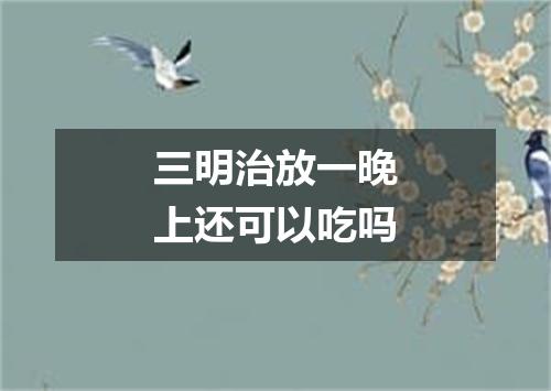 三明治放一晚上还可以吃吗