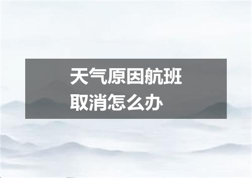 天气原因航班取消怎么办