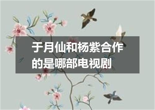 于月仙和杨紫合作的是哪部电视剧