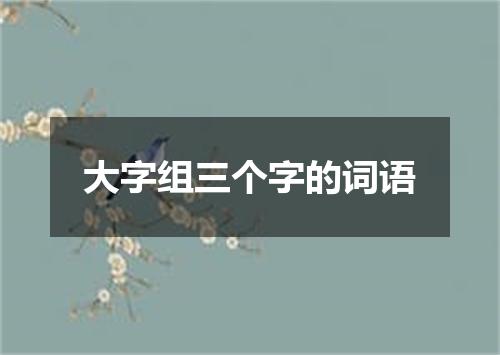 大字组三个字的词语