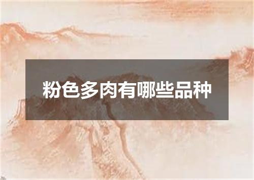 粉色多肉有哪些品种