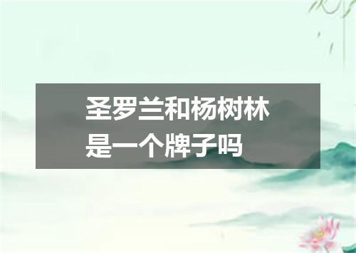 圣罗兰和杨树林是一个牌子吗