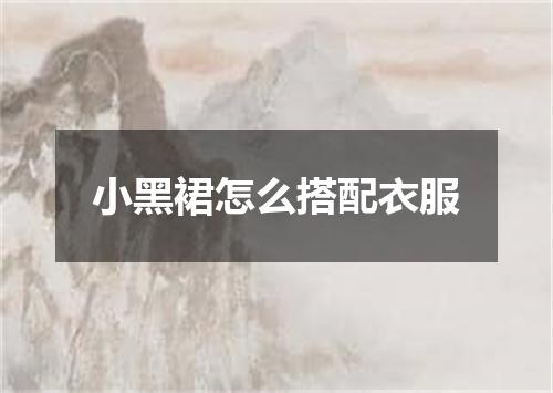 小黑裙怎么搭配衣服