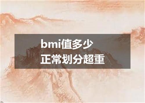 bmi值多少正常划分超重