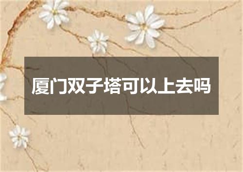 厦门双子塔可以上去吗