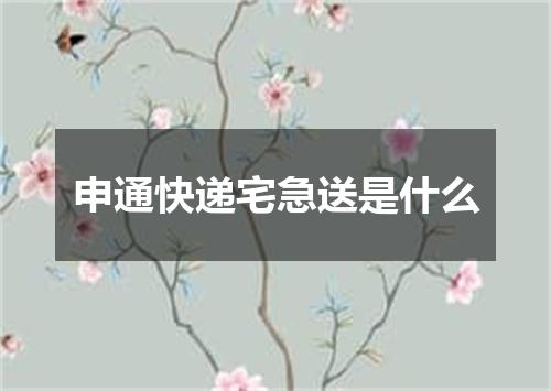 申通快递宅急送是什么